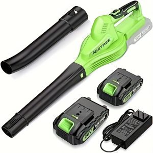 20V Cordless Leaf Blower with 2 Batteries & Charger, Lightweight Electric Handheld Blower for Lawn Care, Green